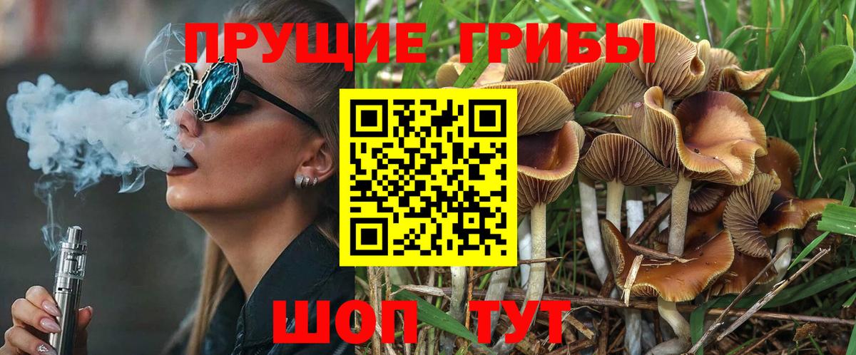 Псилоцибиновые грибы мицелий  Галлюциногенные грибы Psilocybine cubensis  закладки  Спасск-Дальний  Вход с VPN 